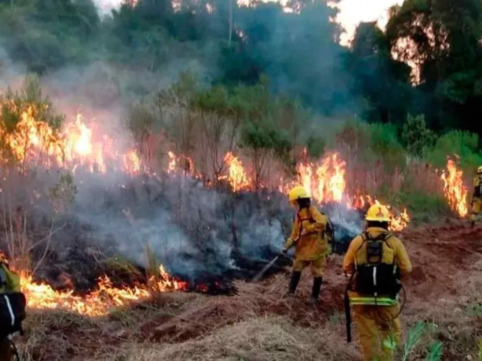 Recuerda la prohibición de encender fuego