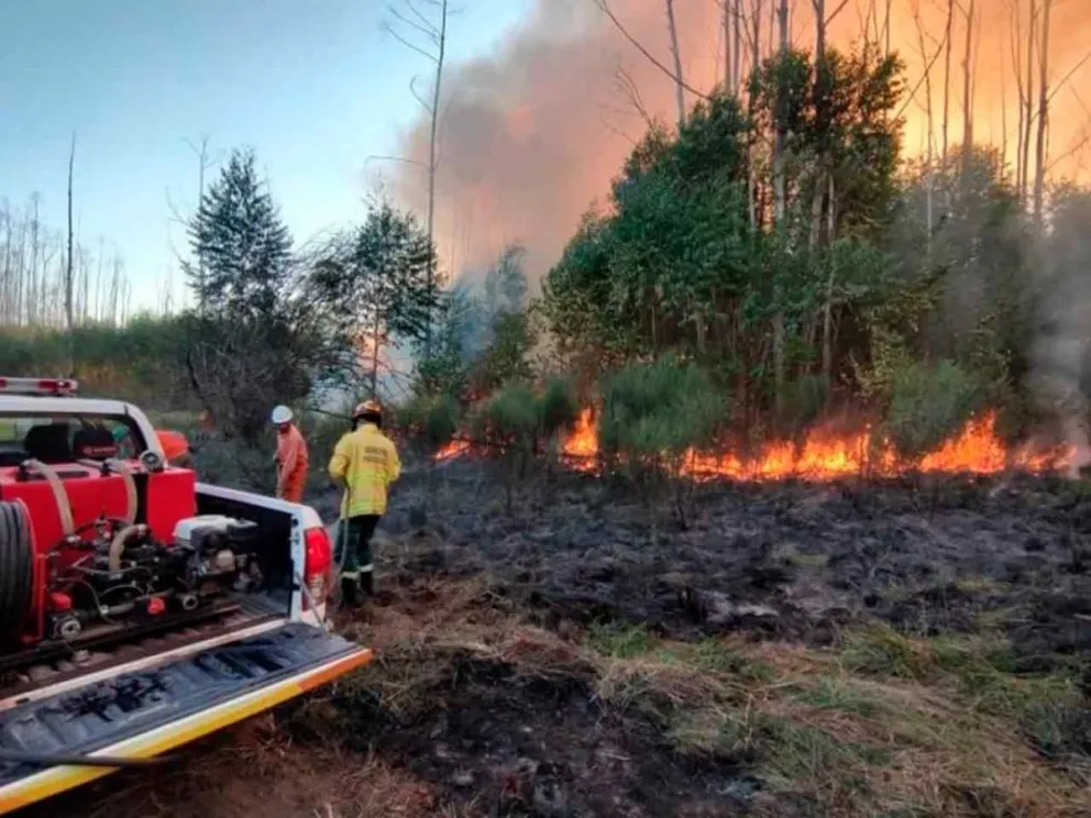 Ante los casi 100 focos de incendios activos 