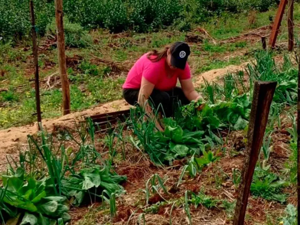 Iniciativa impulsada por Agricultura Familiar 
