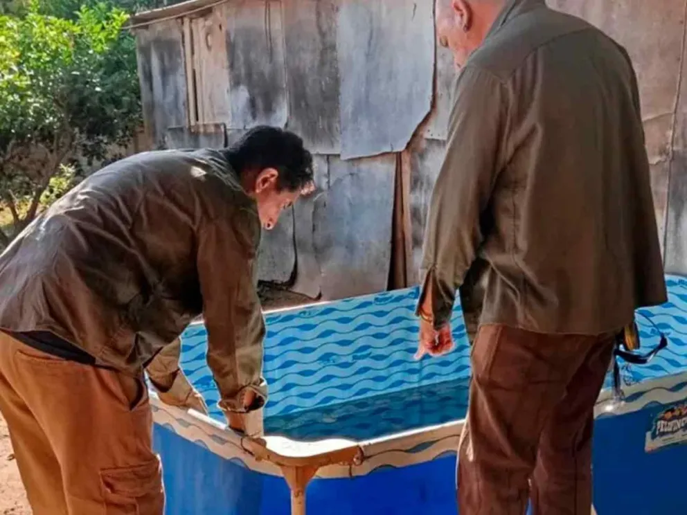 Instan a mantener las medidas de prevención 