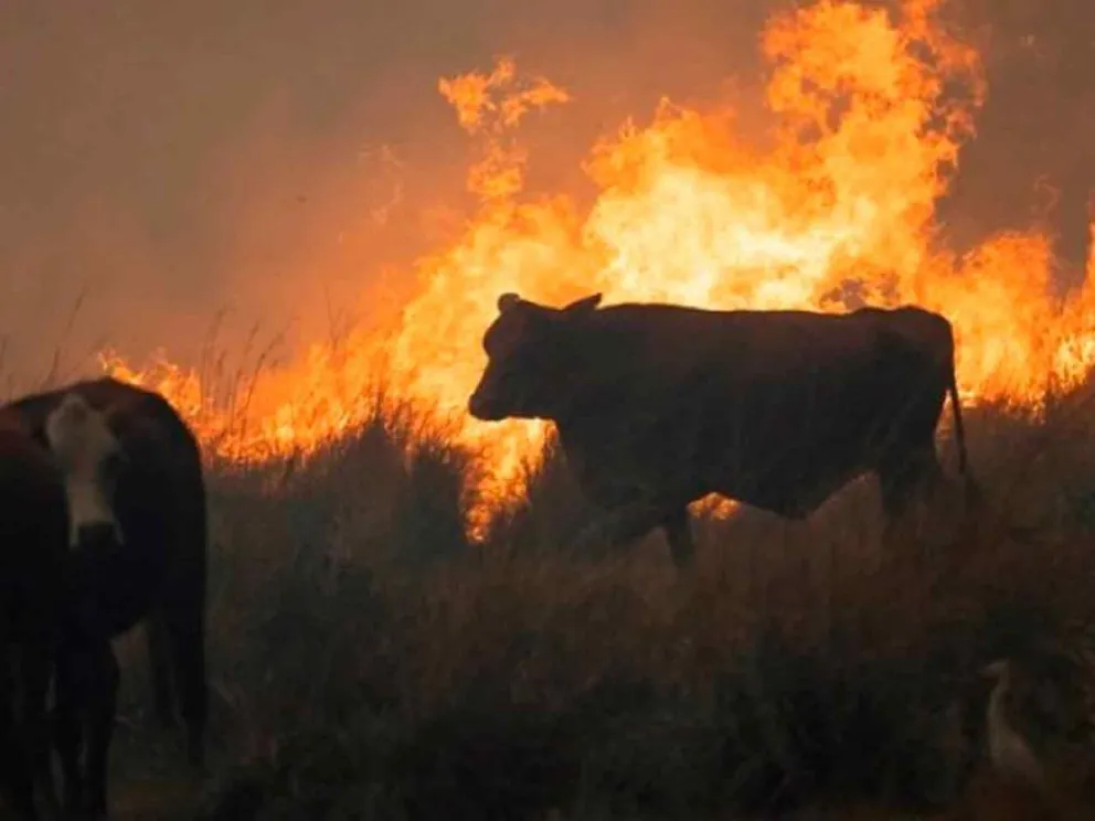 Alarmante situación