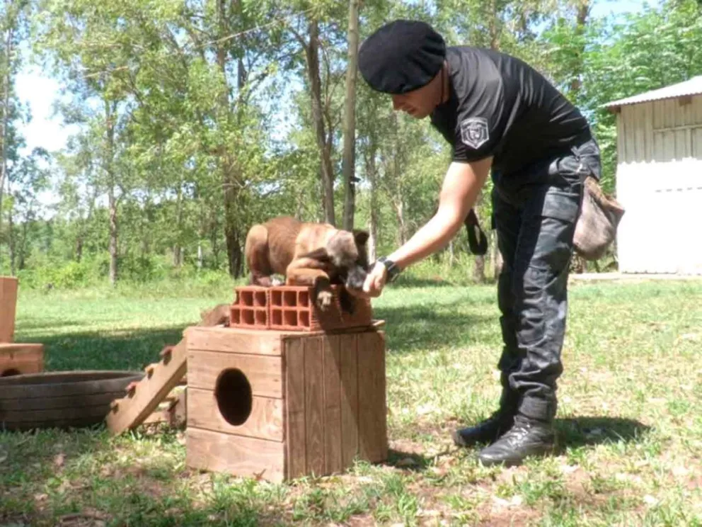 Primera etapa de entrenamiento en Loreto