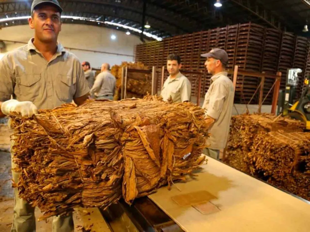 Beneficio para productores y localidades 