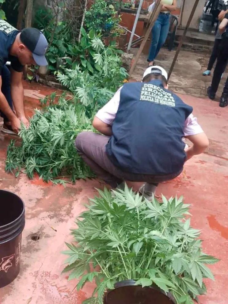 Momento de la intervención