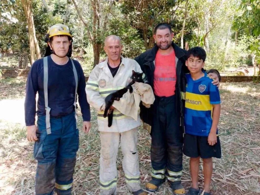 Hasta el 28 de febrero
