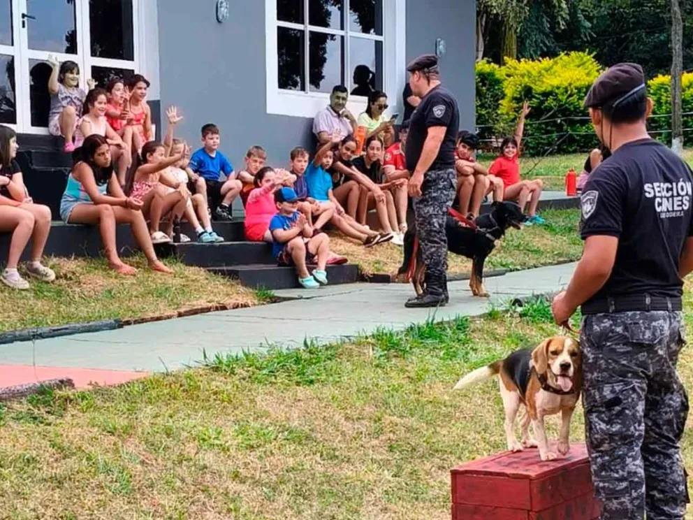 Disfrutaron de demostraciones de perros adiestrados 