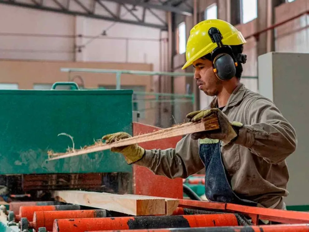 Lo detallaron en un informe 