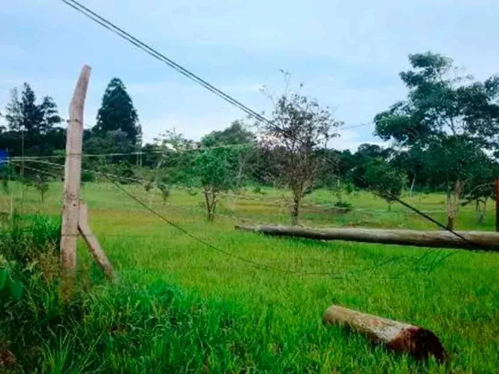 Arduo trabajo para reparar los daños 