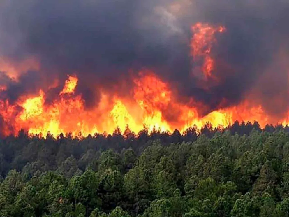 Informó la Dirección de Alerta Temprana
