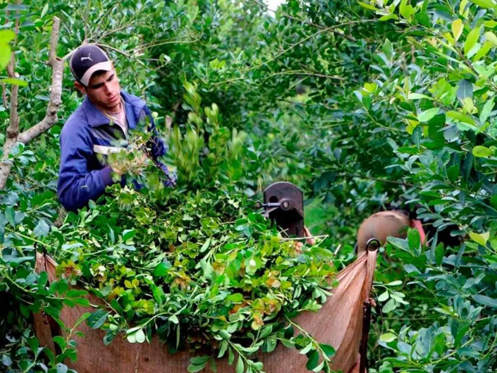 Ante una versión que generó confusiones