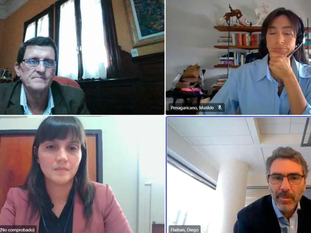 Momento de la reunión virtual 