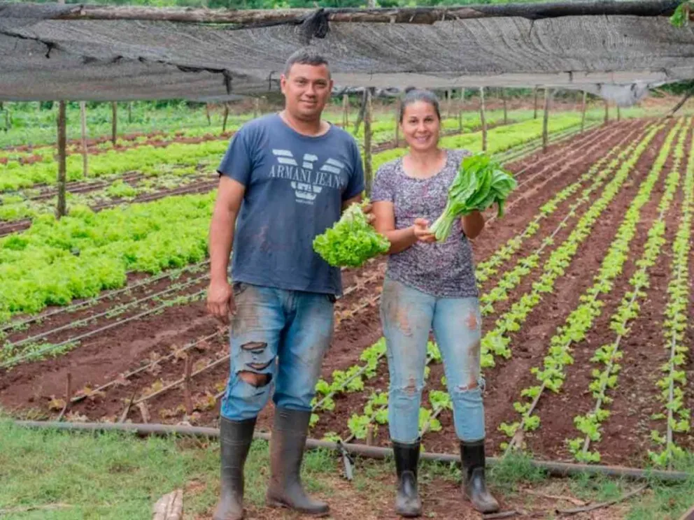 Fomento de la agricultura responsable
