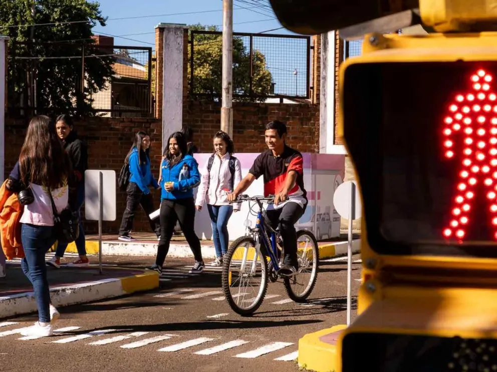 Brinda instancias de aprendizaje teórico-prácticas