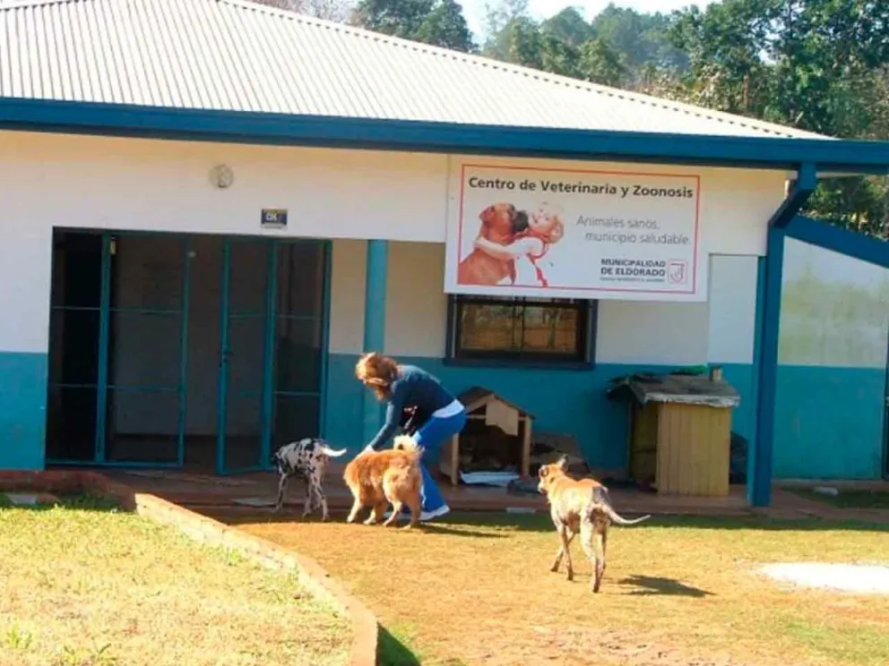 En el área de Zoonosis municipal
