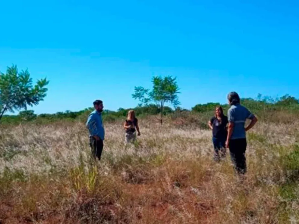 Desde la Dirección de Impacto Ambiental