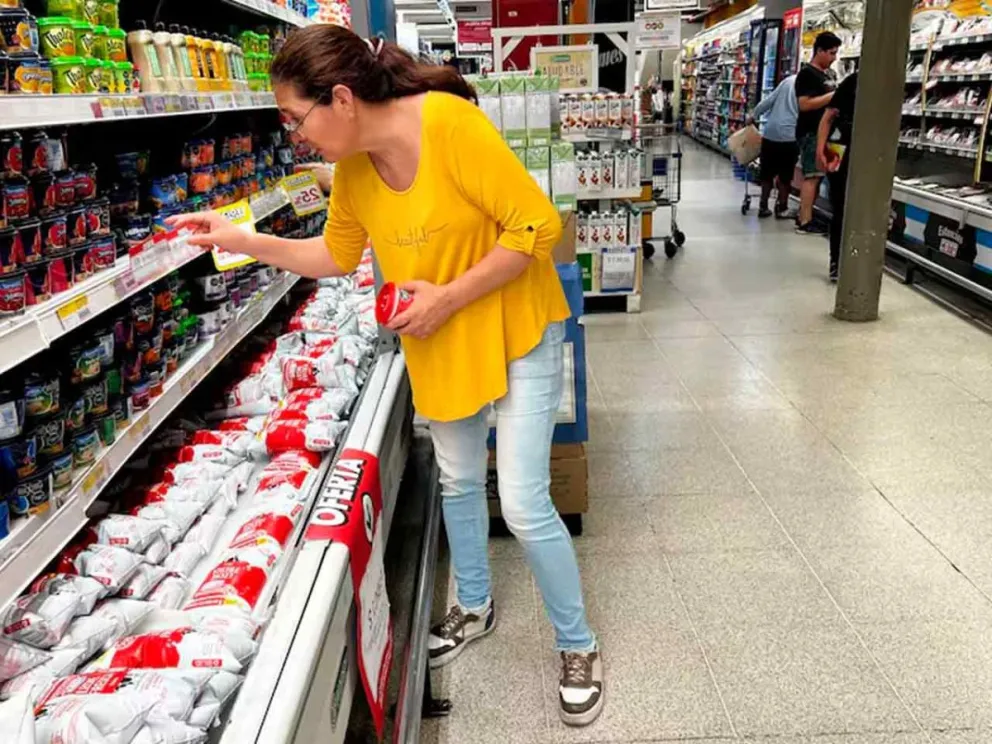 Presentaron proyecto para regular la canasta de consumo 