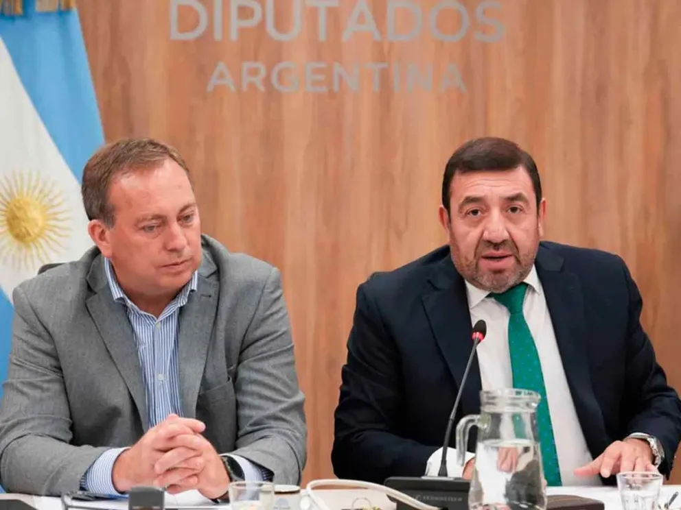 Opositores cuestionan la decisión del Gobierno