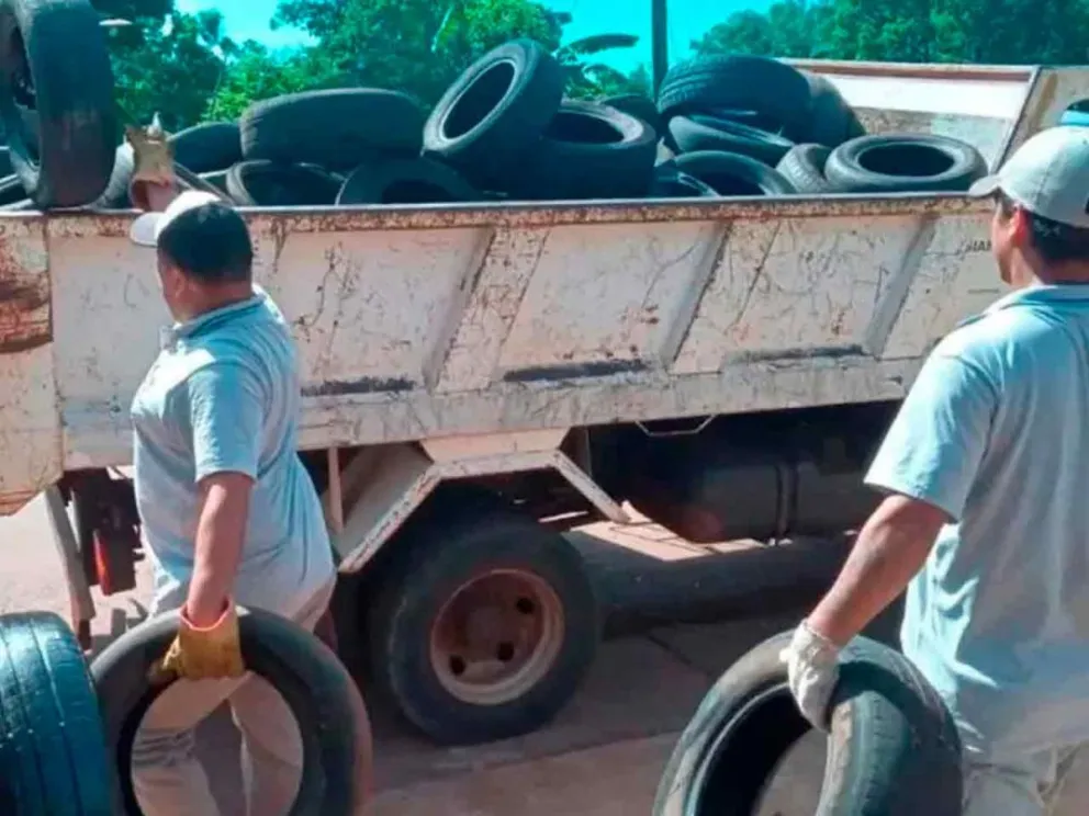 Buscan reducir el impacto ambiental