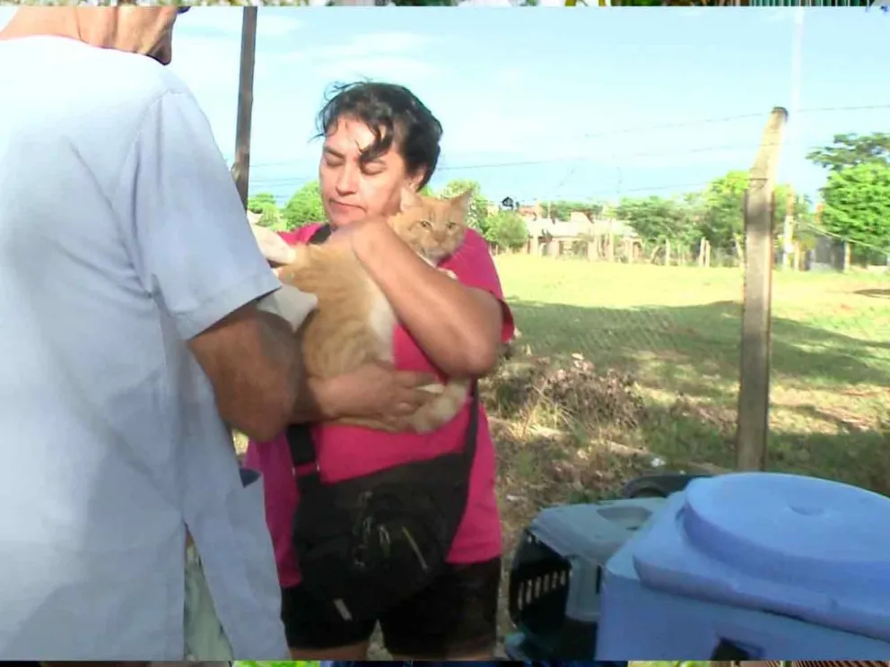 Jornada a cargo del IMuSA