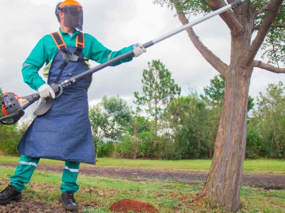 Abarcará despejes de veredas, calzadas, plazas y bulevares