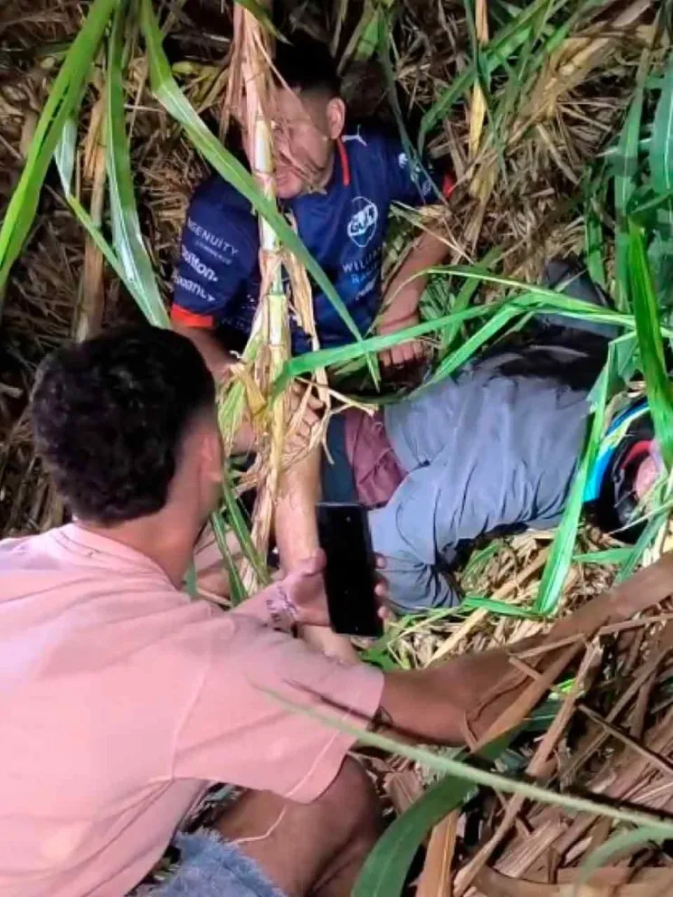 Trabajan en el relevamiento de datos