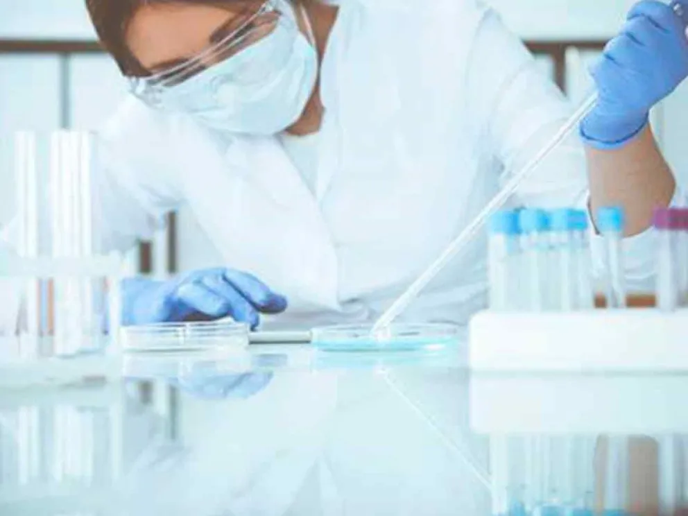 Comprende promoción, asesoramiento y acompañamiento