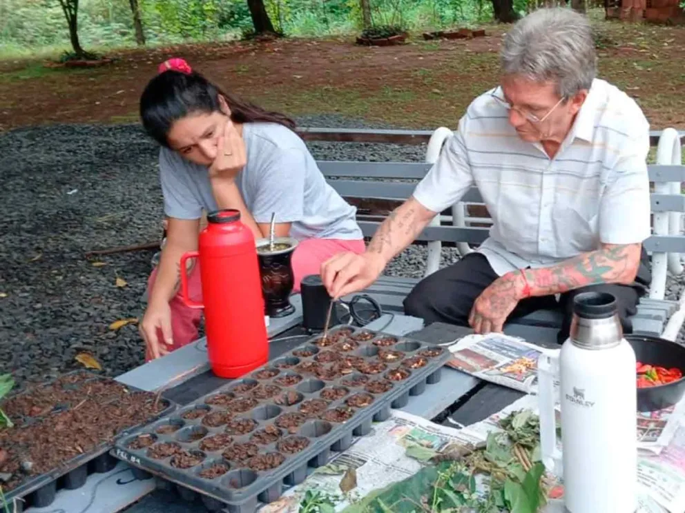 Ofertas terapeuticas y  oficios