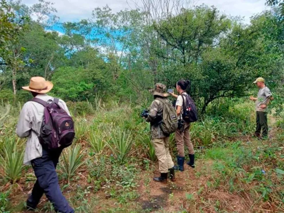 Por el Día Internacional de la Tierra
