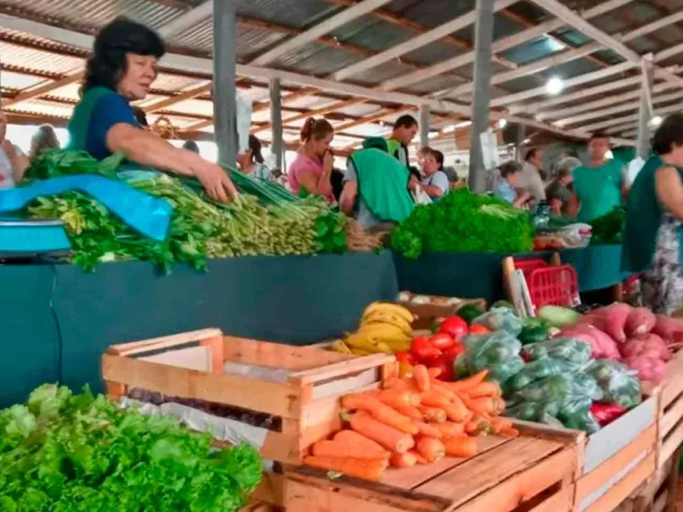 Ofrecen gran variedad de productos 