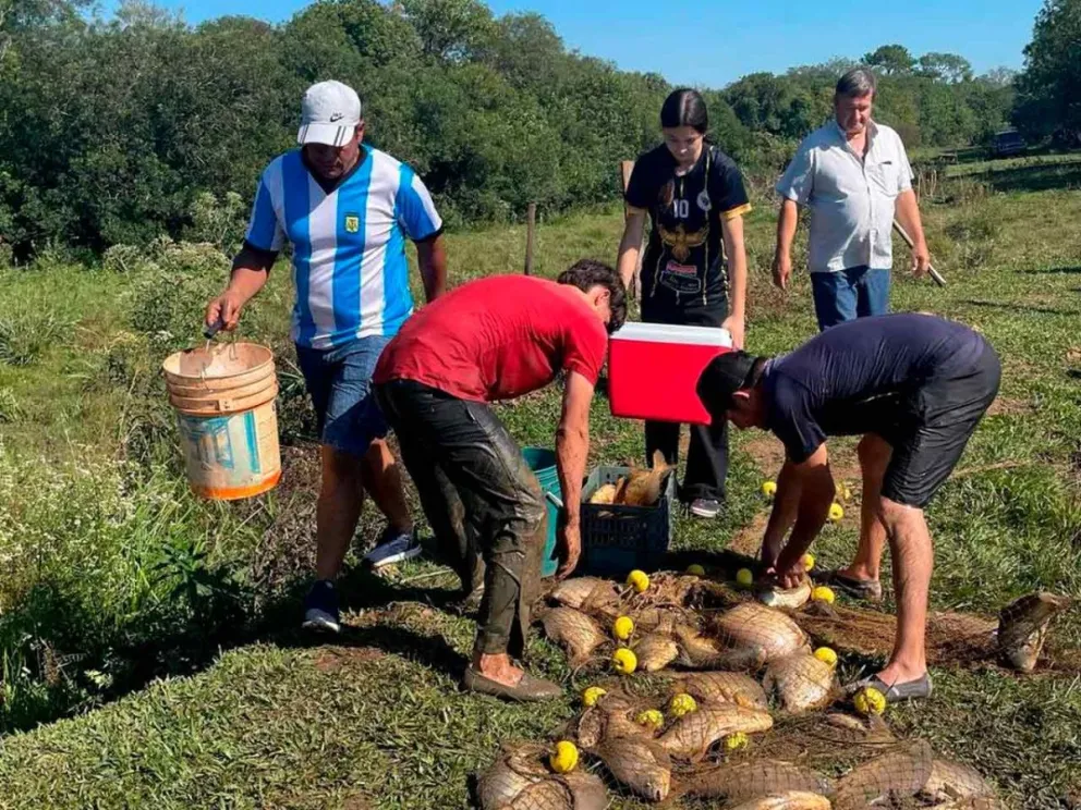 Plan ictícola en la provincia de Corrientes