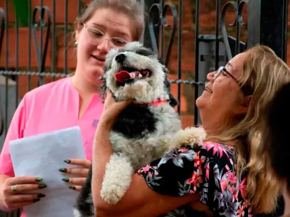 El martes 29 a partir de las 8:00