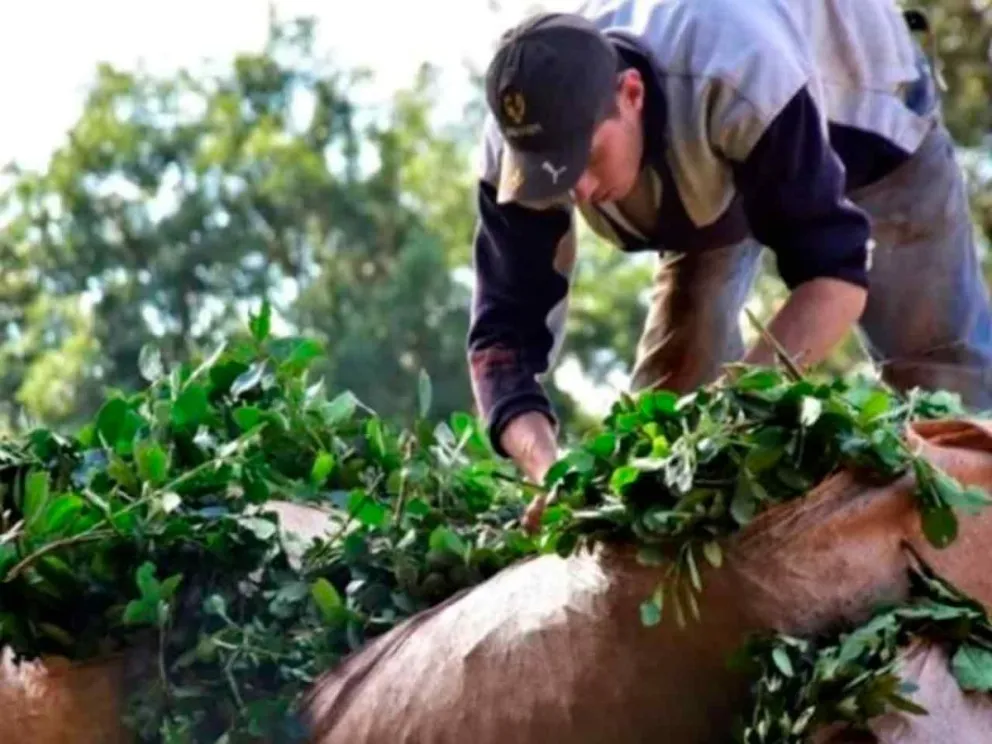 Profunda preocupàción 