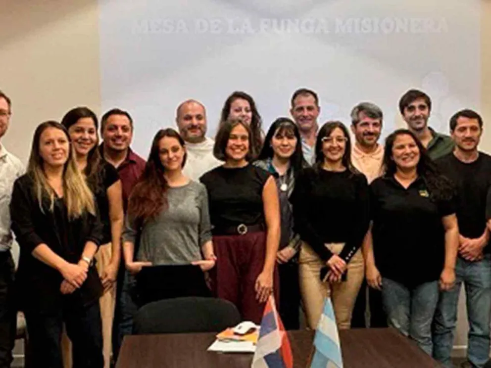 Representantes de las instituciones participantes  