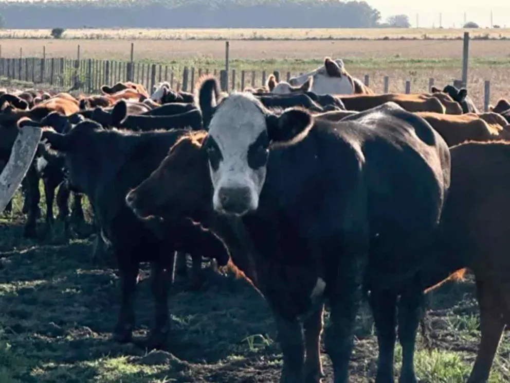 Preocupación en el sector