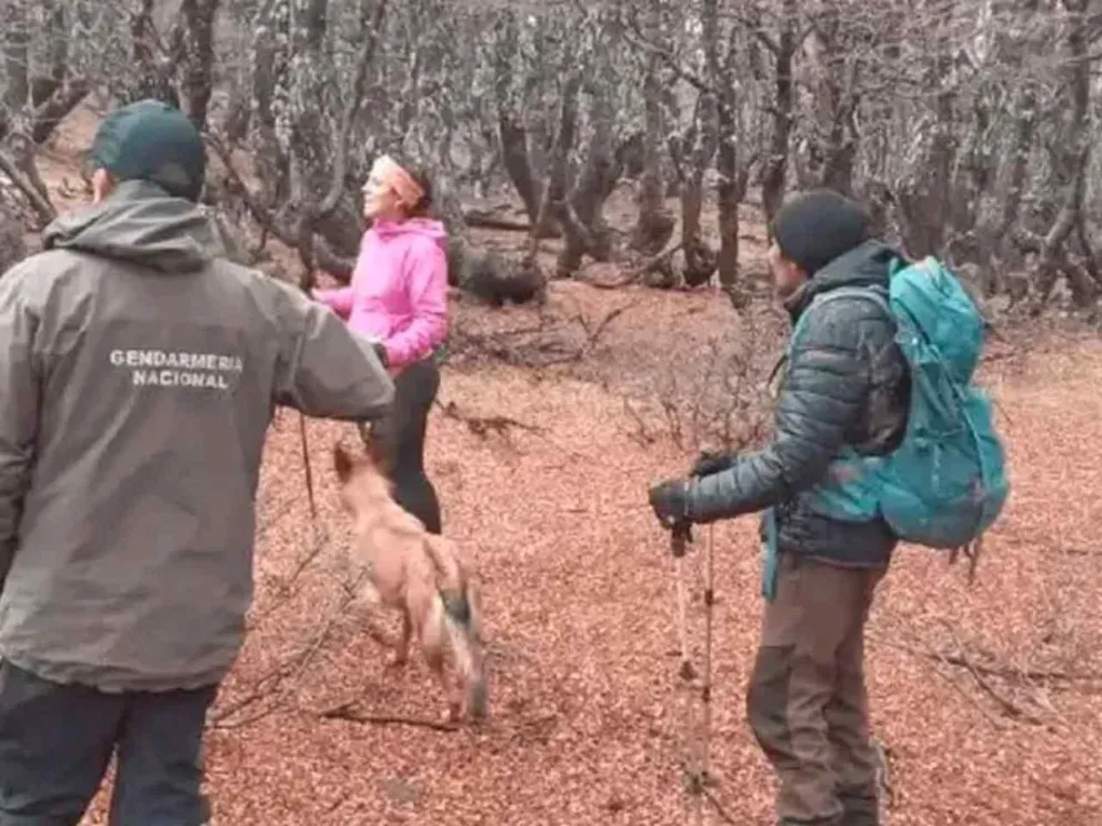 Se encuentran en buen estado de salud