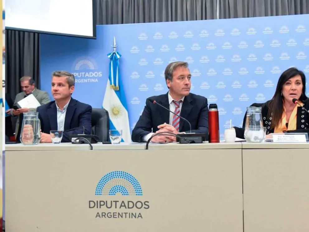 Mañana será el plenario de comisiones