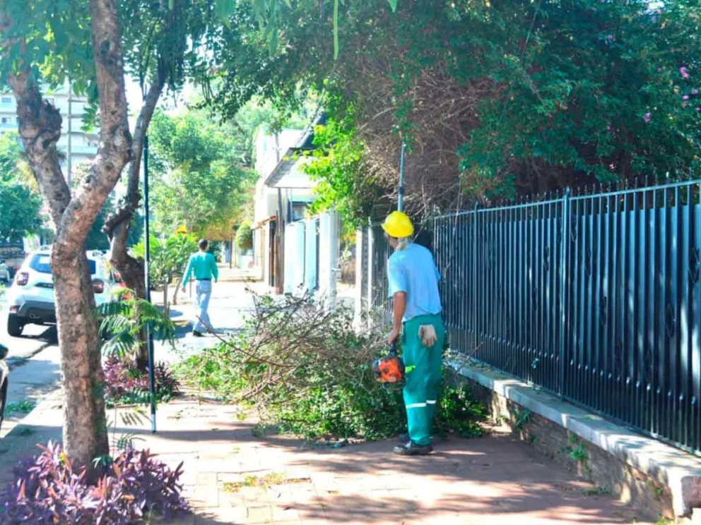 Se extenderá hasta el mes de agosto