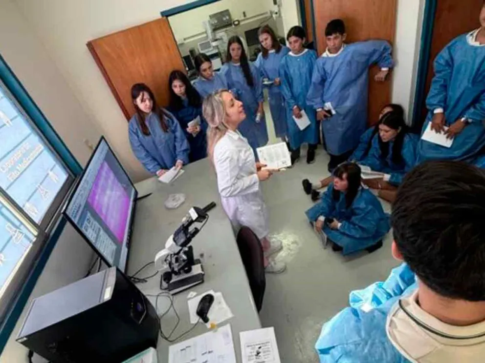 Para actualizar conocimientos