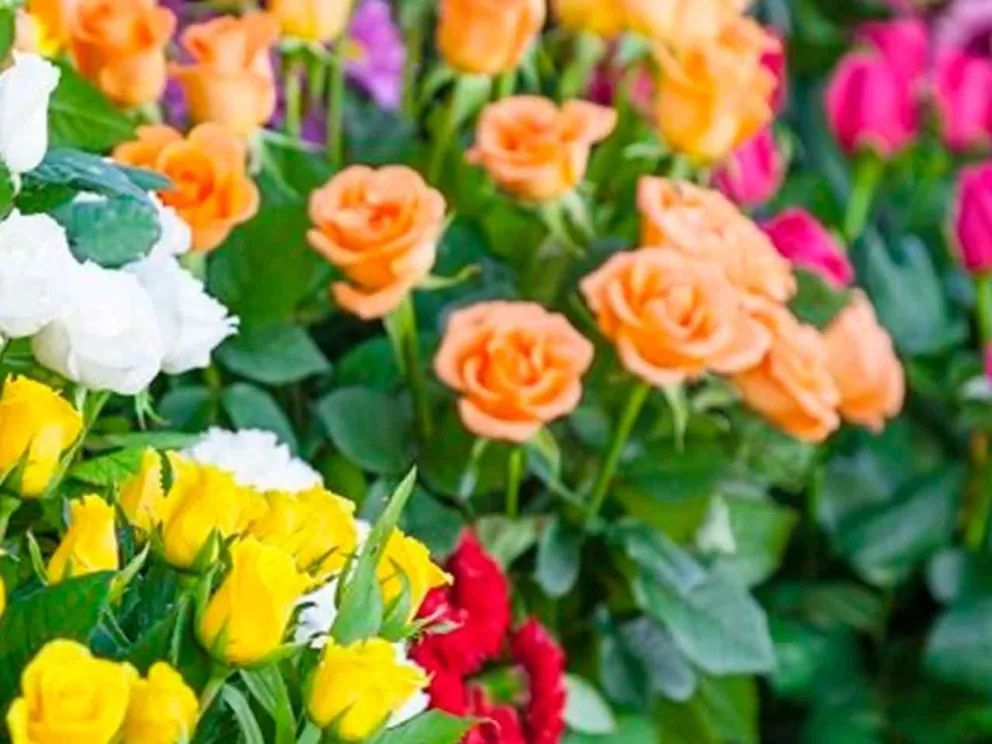 Se realizó el primer encuentro del rubro en Garuhapé