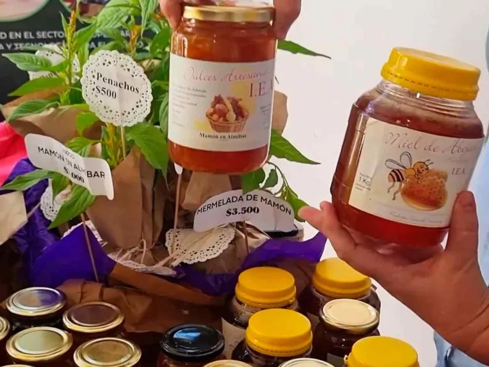 Resultado de sus prácticas profesionalizantes