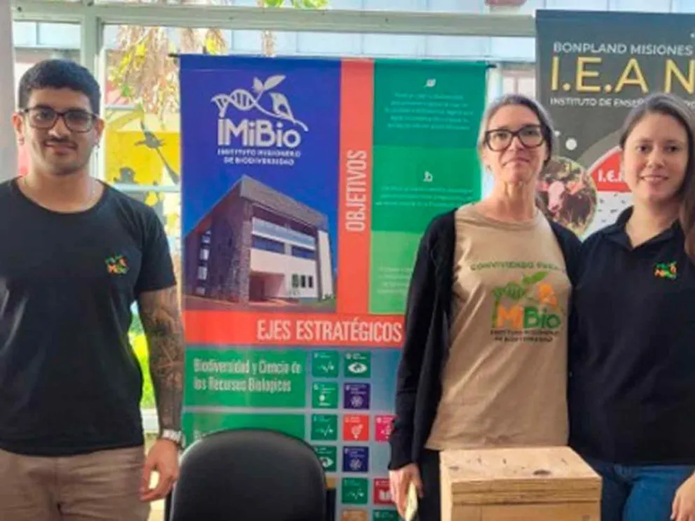 Momento de la jornada