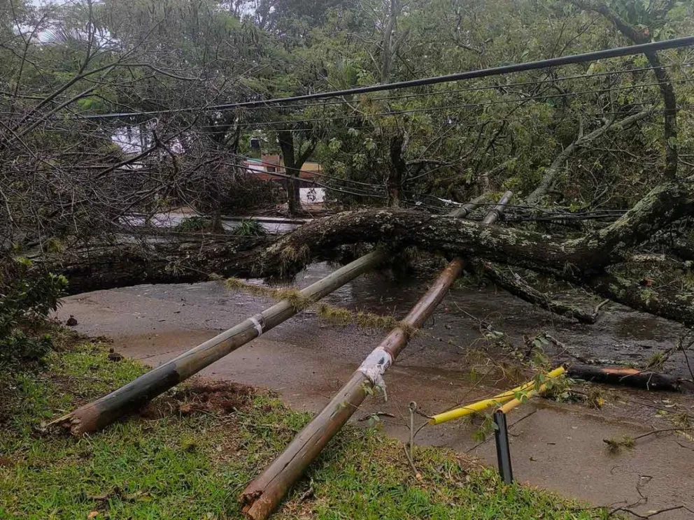 Informaron desde la OPAD