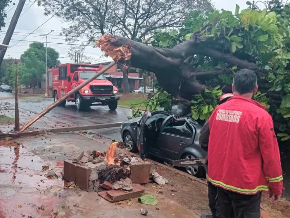 Bomberos trabajando en el despeje