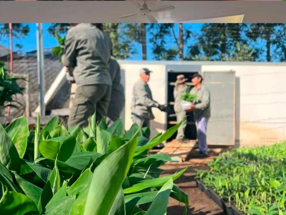 Biotecnología aplicada a la agricultura