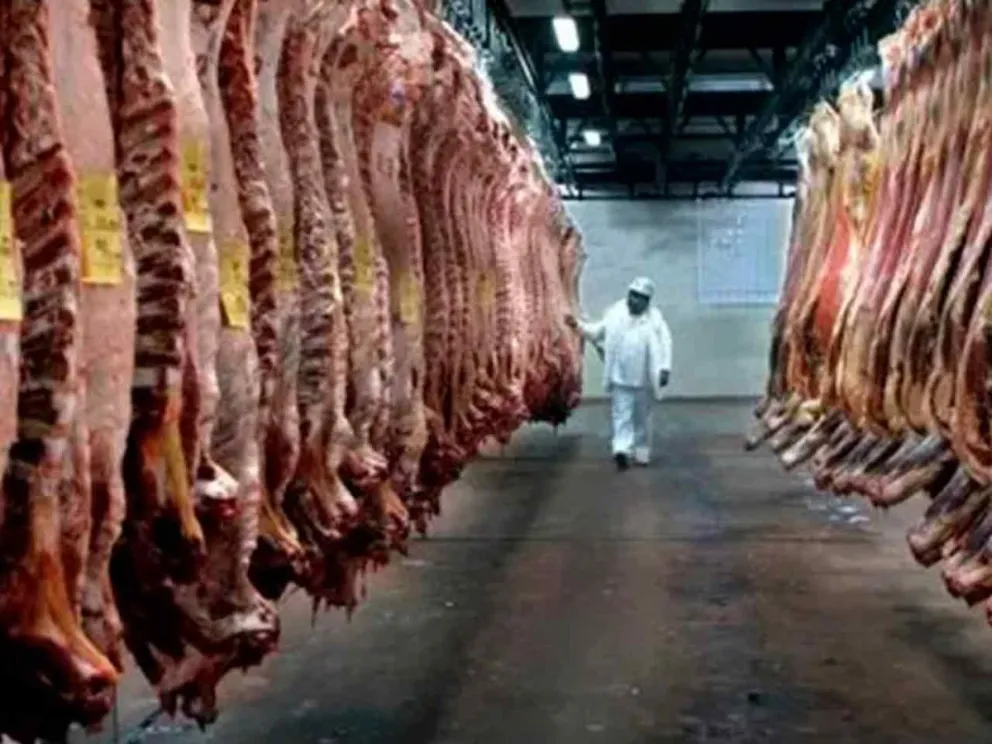 Preocupante escenario