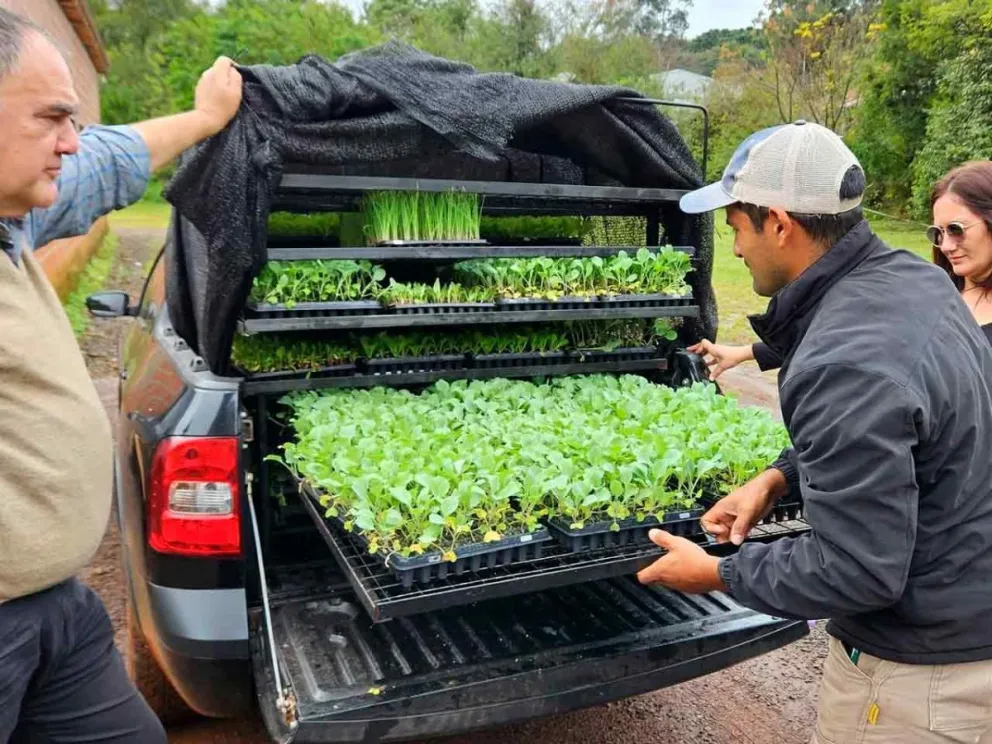 Con insumos sin costos y prácticas sostenibles