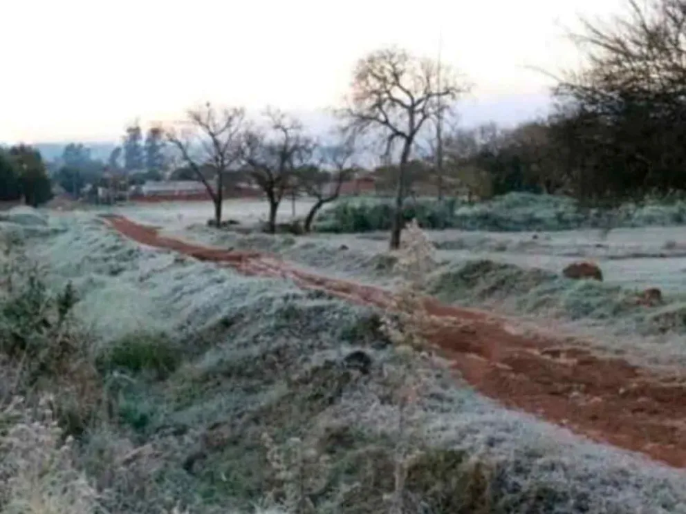 Desde la Dirección de Alerta Temprana