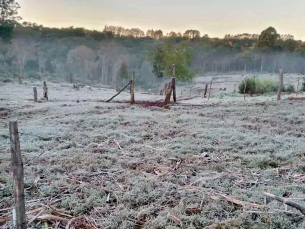 Una intensa masa de aire polar ingresó a la región