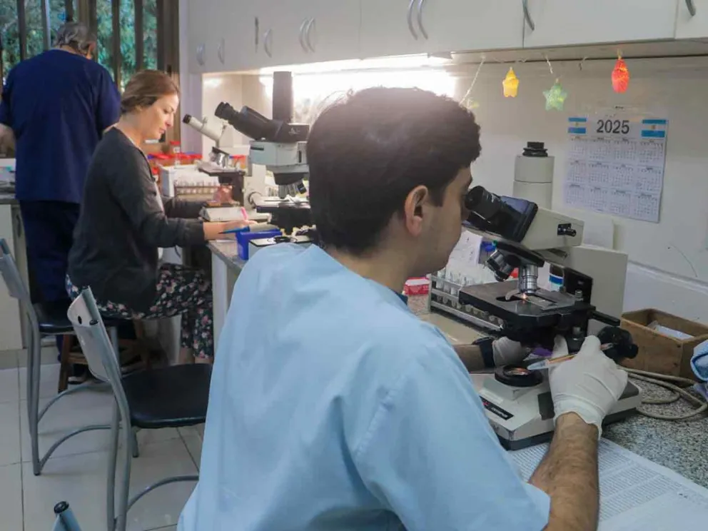 Realizan 1.500 muestras procesadas por día 