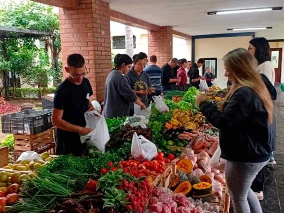 Amplia variedad de productos